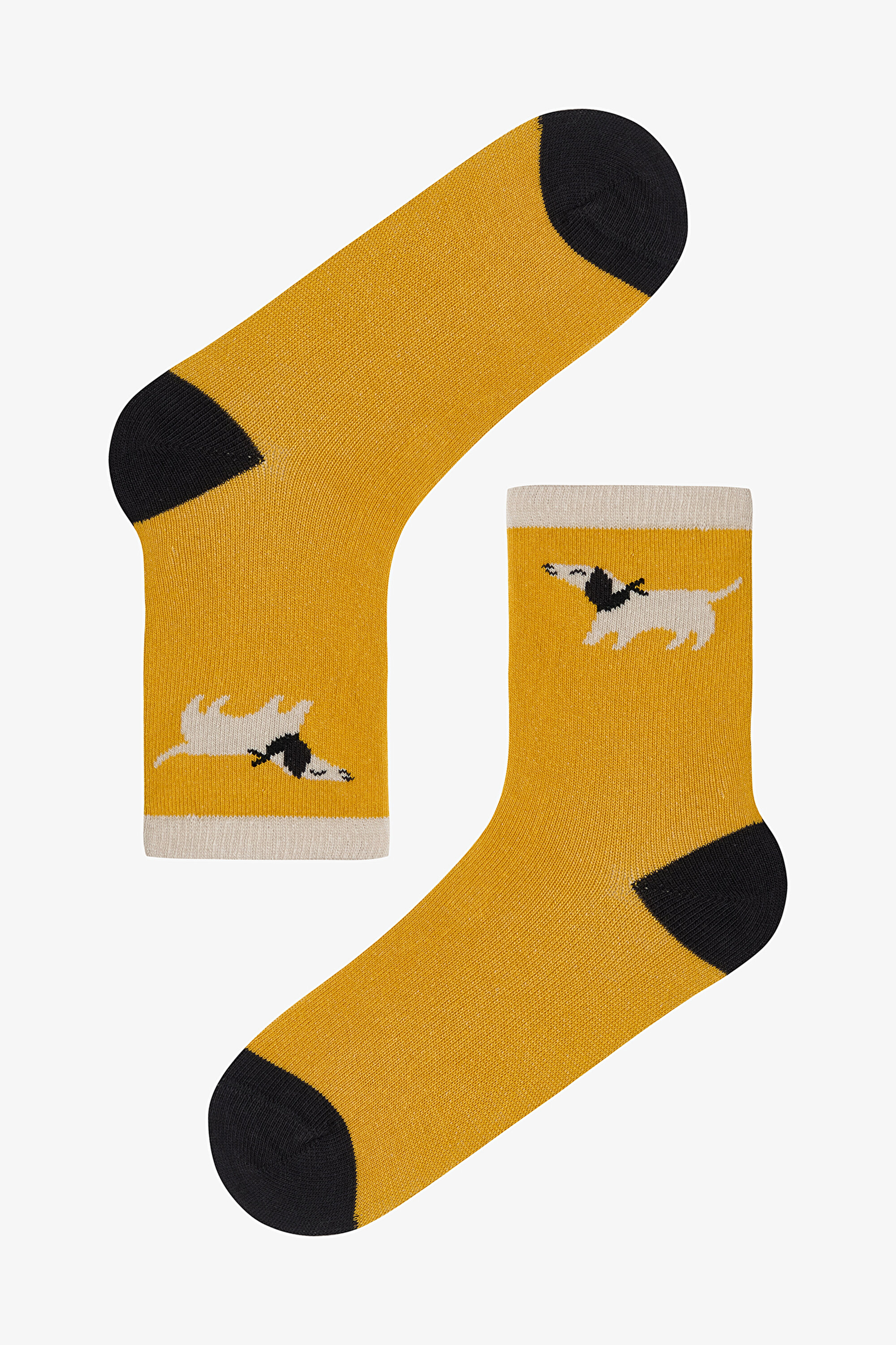 B.HUNTER 4 PACK SKT, 23-26, MIX MIX