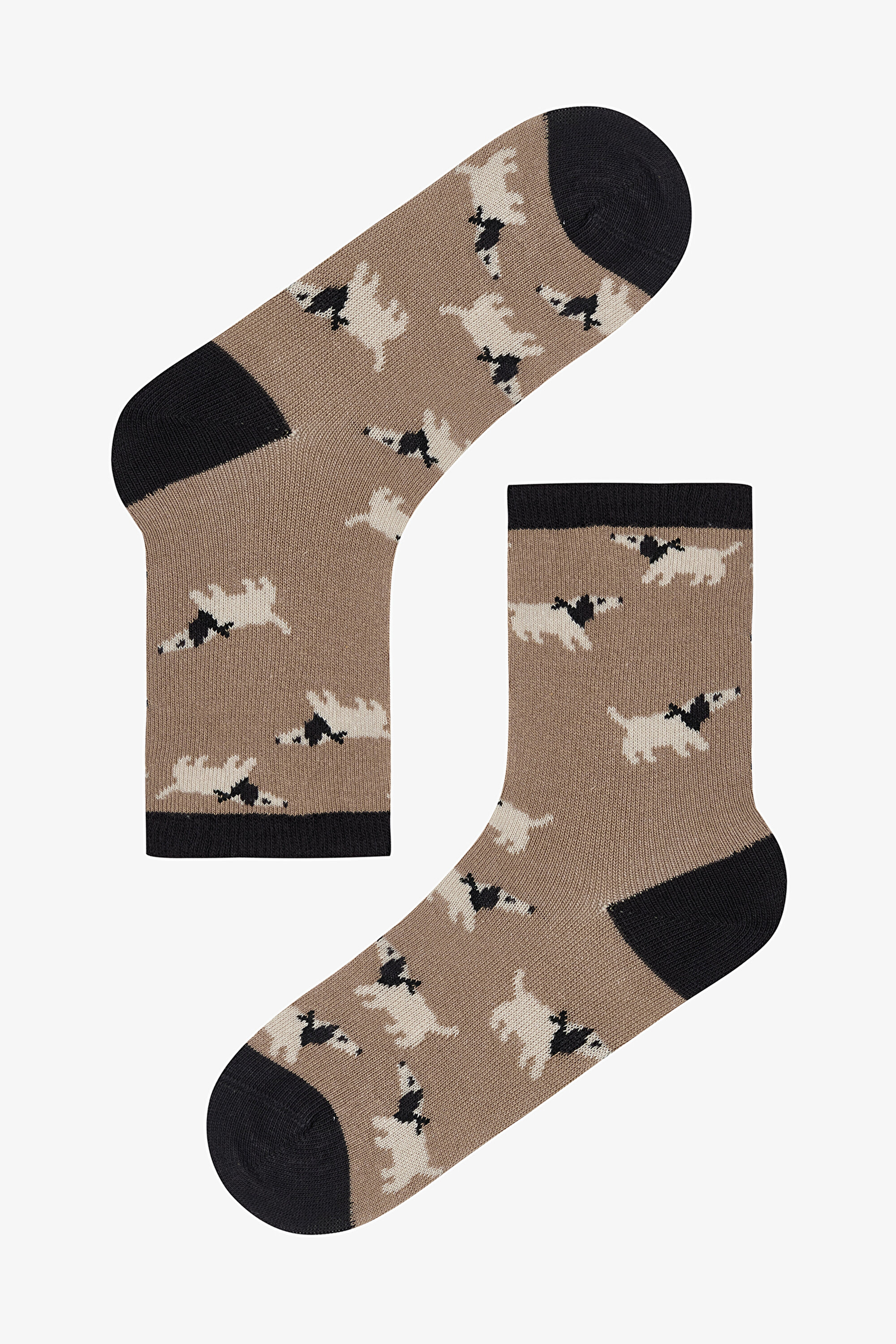 B.HUNTER 4 PACK SKT, 23-26, MIX MIX