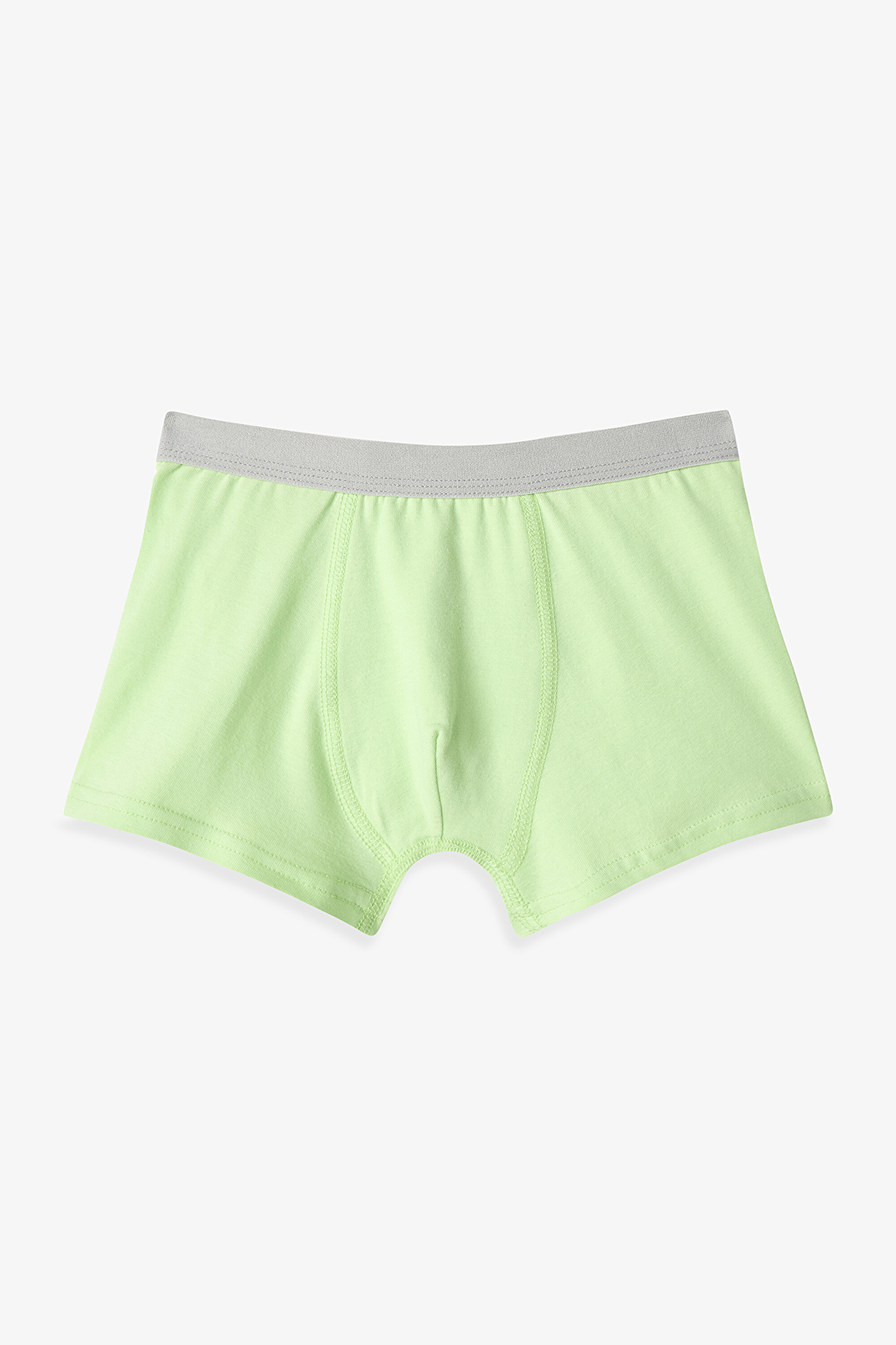 Erkek Çocuk Dinozor Çizgili 3'lü Boxer PL386VN426IY-MIX - Çok
