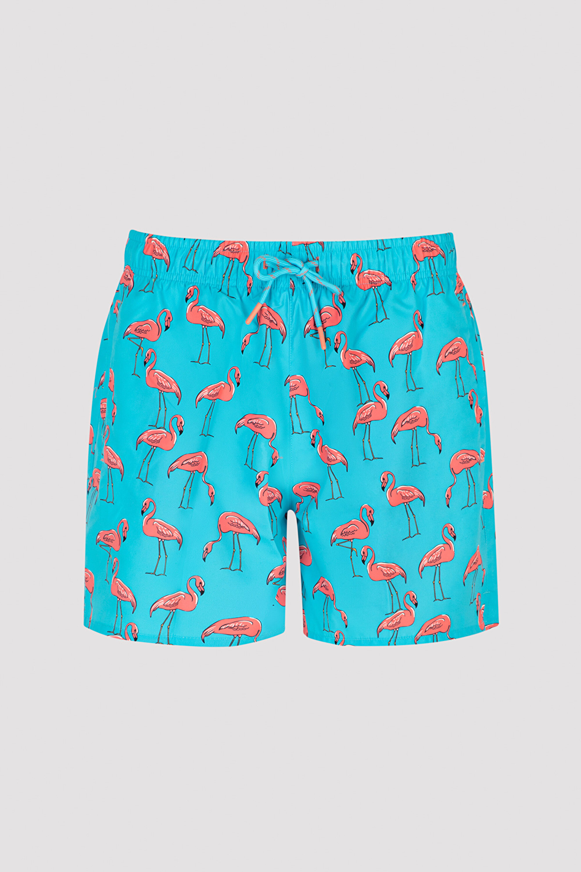 Flamingo Erkek Deniz Şortu PLUGH0TQ23IY-MIX - Çok Renkli - Penti