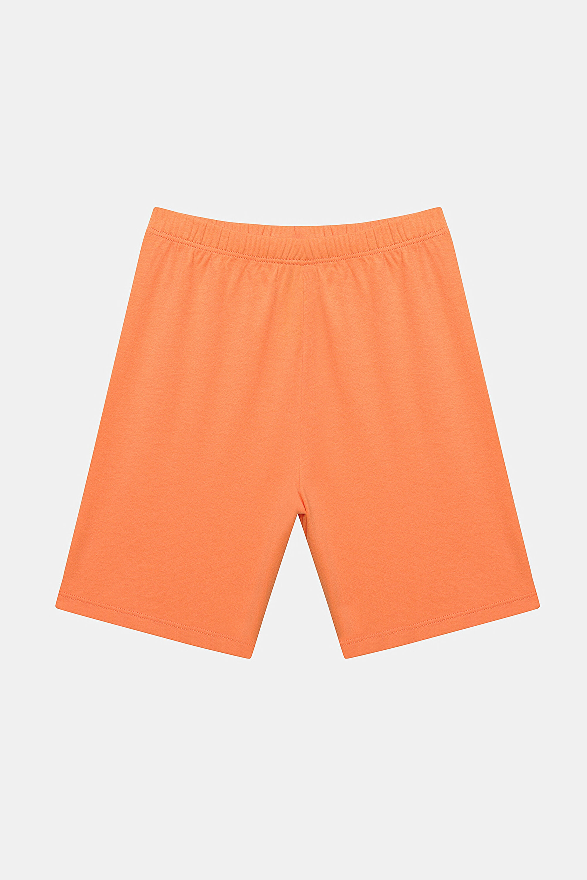 B.TECNOLOGY MUSEUM SSS 2, 11-12, MIX MIX