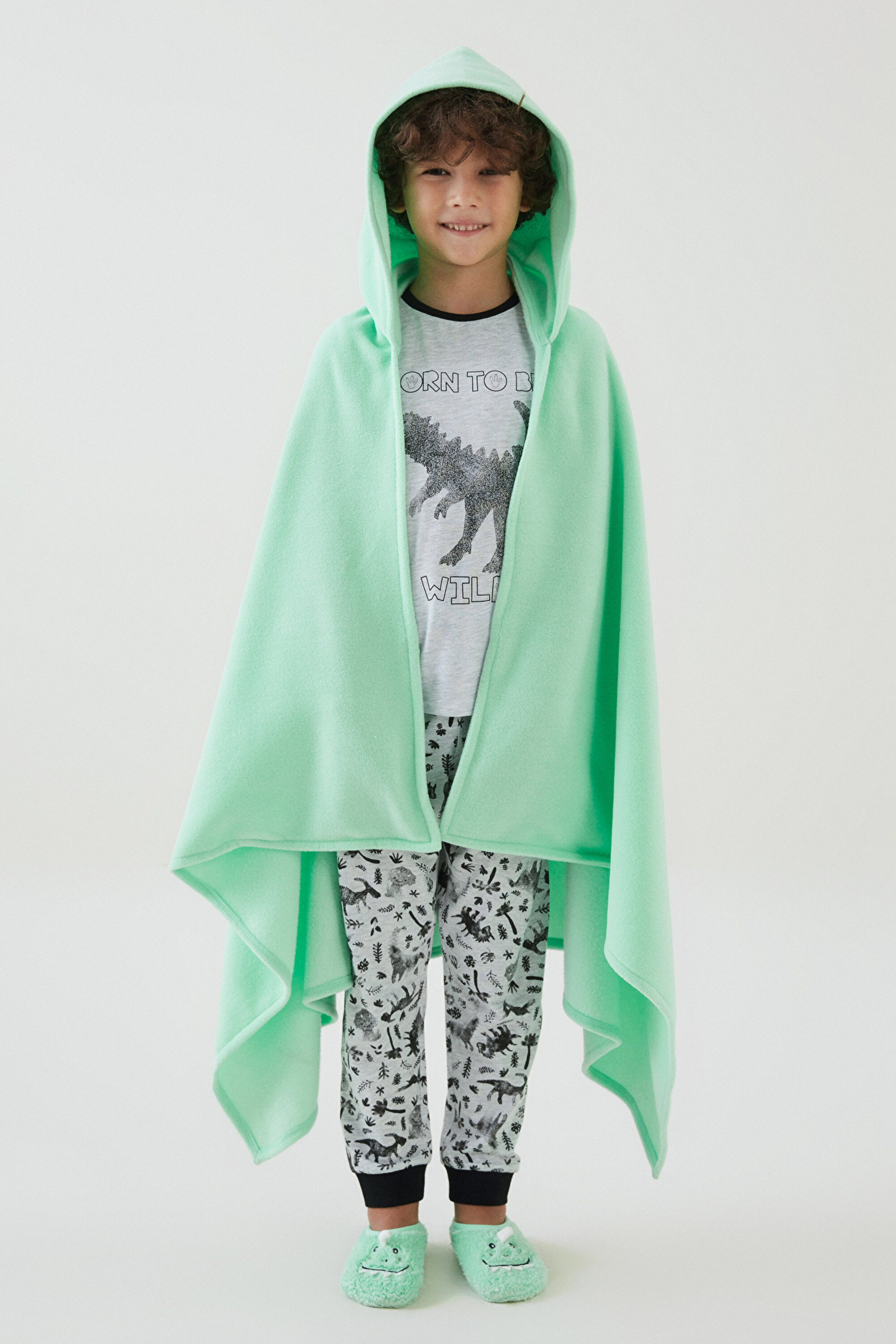 Unisex Dino Battaniye PN9AKU5721SK-GN8 - Açık Yeşil - Penti