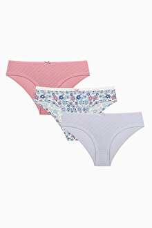 Spring Garden Pamuklu 3lü Pointel Hipster Çok Renkli Külot