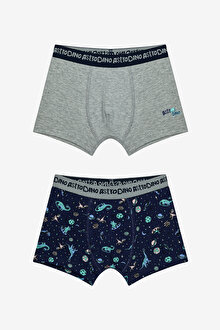 Erkek Çocuk Astro Dino Çok Renkli 2li Boxer