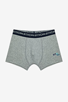 Erkek Çocuk Astro Dino Çok Renkli 2li Boxer_1