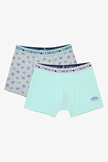 Erkek Çocuk Rodeo Club 2li Çok Renkli Boxer