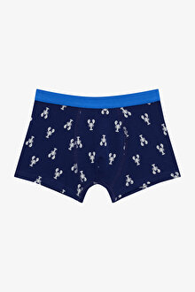 Erkek Çocuk Mediterranean Çok Renkli 2’li Paket Boxer_1