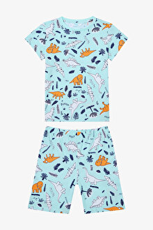 Erkek Çocuk Sleepysaurus 2li Çok Renkli Pijama Takımı_1