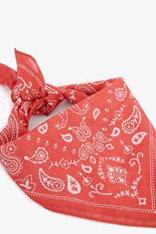 Camella Renkli Bandana_1