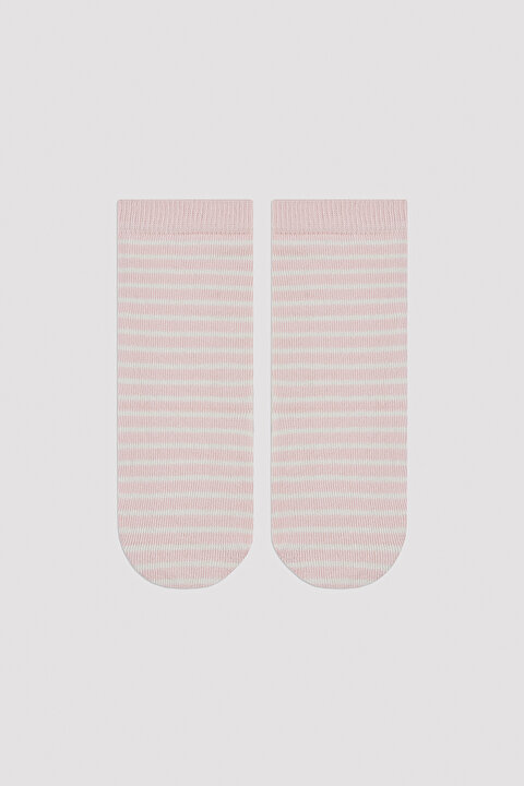 Kız Çocuk Raccoon And Fox 4lü Soket Çorap - 3