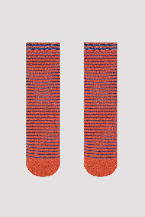Boys Safari 4in1 Socket Socks - 5