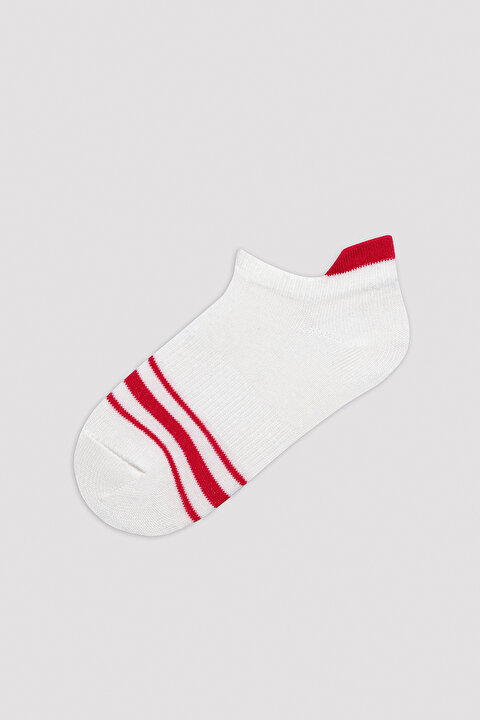 Boys Colorful Lines 4in1 Liner Socks - 5