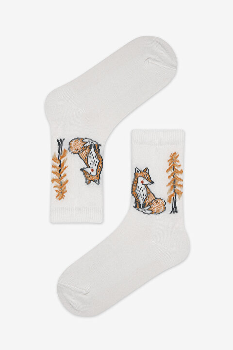 Boys Animals World 4in1 Socket Socks - 4