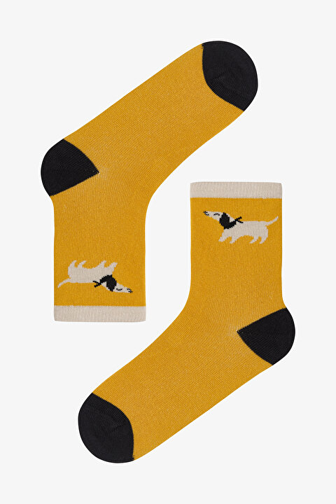 Erkek Çocuk Hunter Köpek Desenli 4'lü Soket Çorap - 3