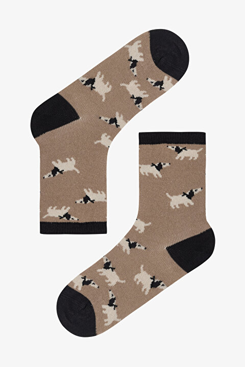 Erkek Çocuk Hunter Köpek Desenli 4'lü Soket Çorap - 4
