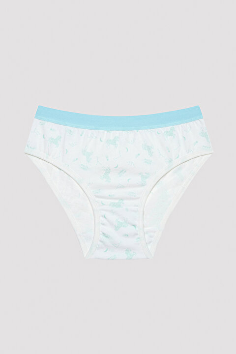 Kız Çocuk Mystical Wonders Çok Renkli 5li Slip Külot - 3