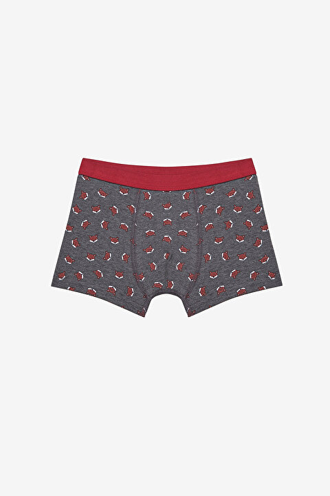 Boys Fun Fox 3in1 Multi Colour Boxer - 4