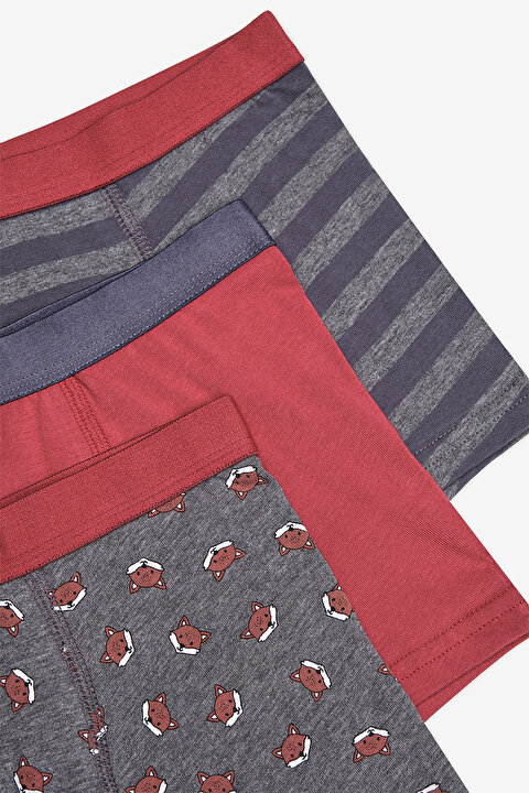 Boys Fun Fox 3in1 Multi Colour Boxer - 5