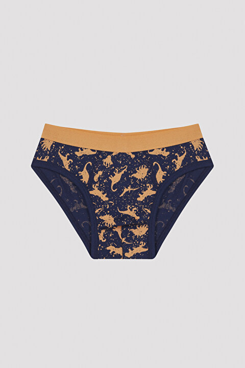 Erkek Çocuk Colorful Dino 3'lü Slip Külot - 3