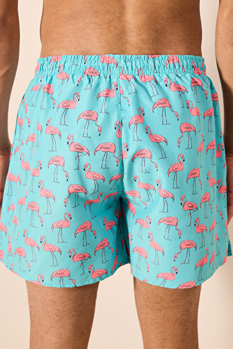 Flamingo Short PLQZCVD924IY-MIX - MIX - Penti