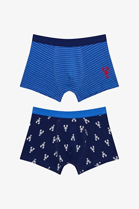 Erkek 2Li Boxer 9626 main image 0