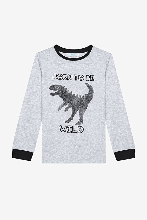 Boys Wild Dino 2in1 Multi Colour PJ Set - 6