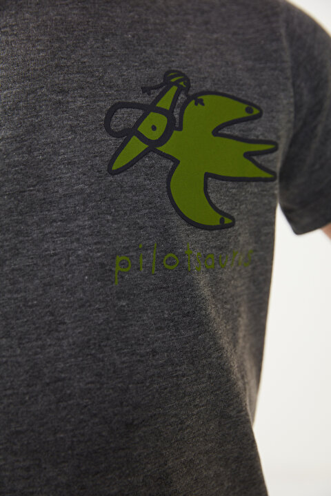 Yeşil-Gri Erkek Çocuk Dinozor Baskılı 2li Pijama Takımı - 6