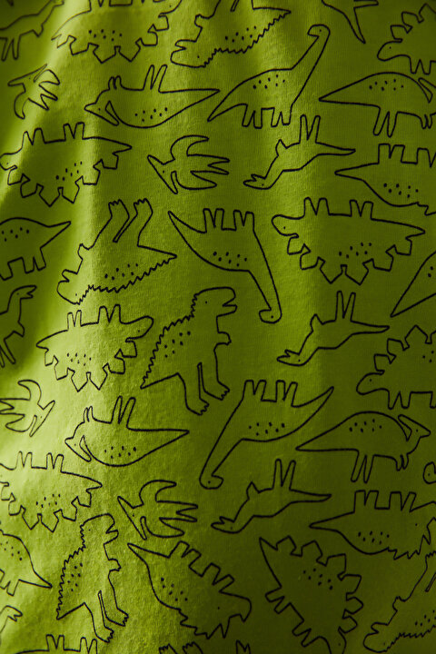 Yeşil-Gri Erkek Çocuk Dinozor Baskılı 2li Pijama Takımı - 7