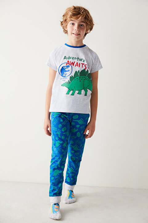 Boys Dinosaur Printed PJ Set - 3
