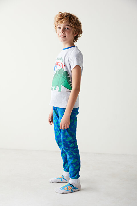 Boys Dinosaur Printed PJ Set - 4