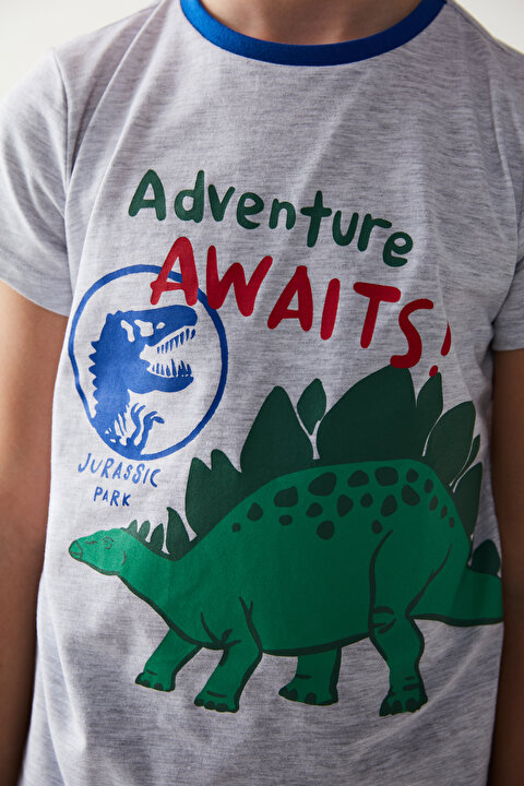 Boys Dinosaur Printed PJ Set - 6
