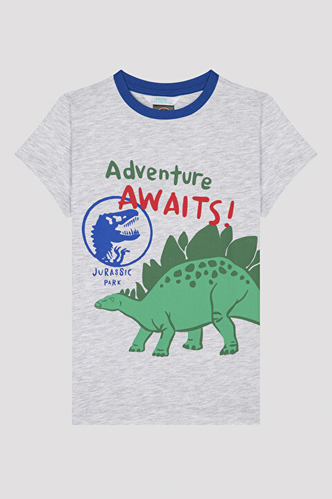 Boys Dinosaur Printed PJ Set - 9