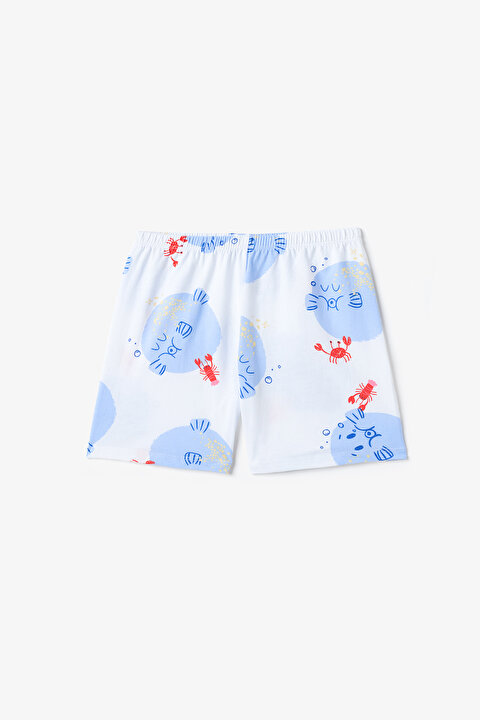 Erkek Çocuk Pufferfish Pamuklu 2li Pijama Takımı - 7