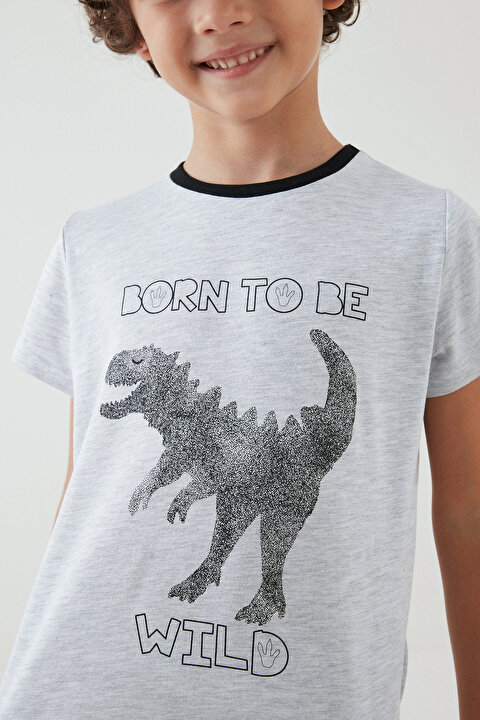 Erkek Çocuk Wilds 4lü Pijama Takımı - 3