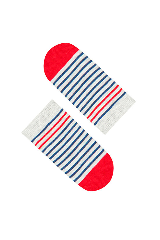 Lacıgrı Erkek Çocuk Stripe Shark 2Li Patik Çorap - 3