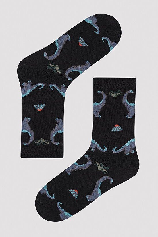 Erkek Çocuk Dino Time Çok Renkli 4lü Soket Çorap - 4