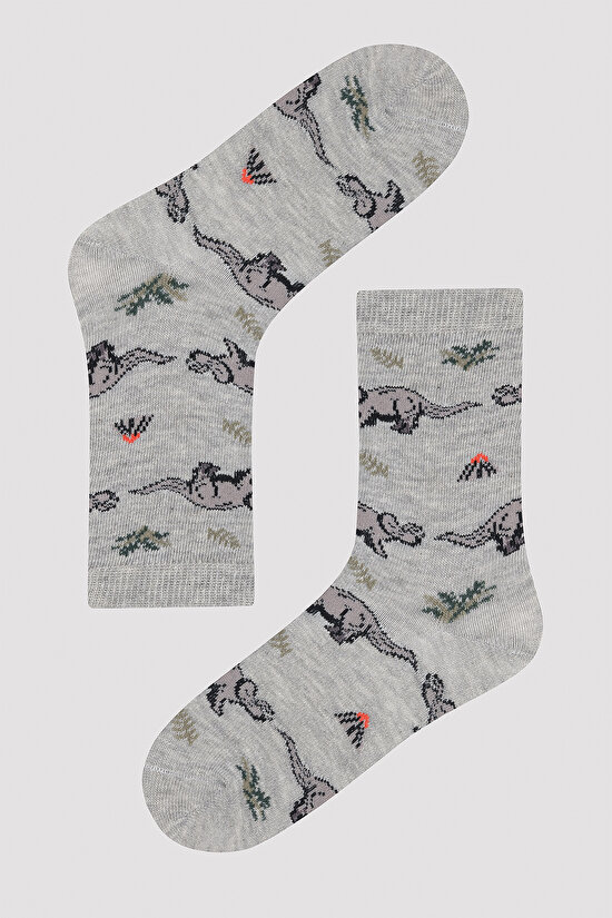 Erkek Çocuk Dino Time Çok Renkli 4lü Soket Çorap - 5