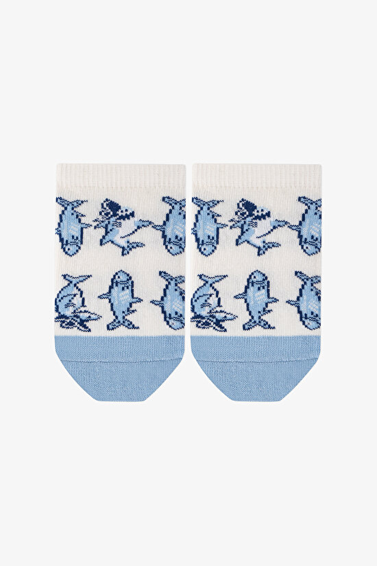 Mavi Erkek Çocuk Captain Shark 4 'lü Patik Çorap - 2