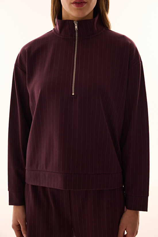 Burgundy Zipped Striped Sweatshirt - 6