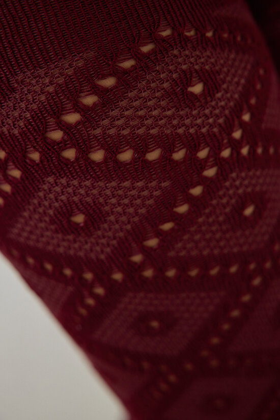 Bordo Colosio Baklava Desenli 100 Denye Mat Külotlu Çorap - 3