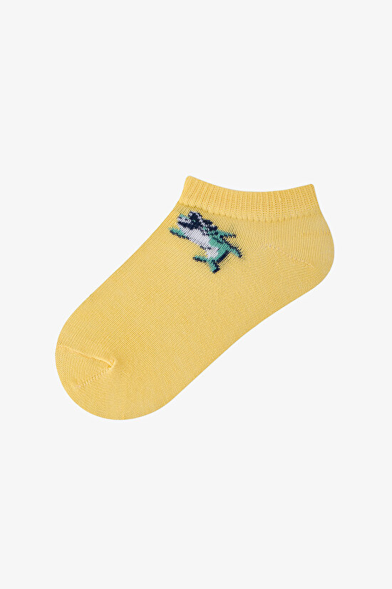 Renkli Erkek Çocuk Captains Island 3 'lü Patik Çorap - 2