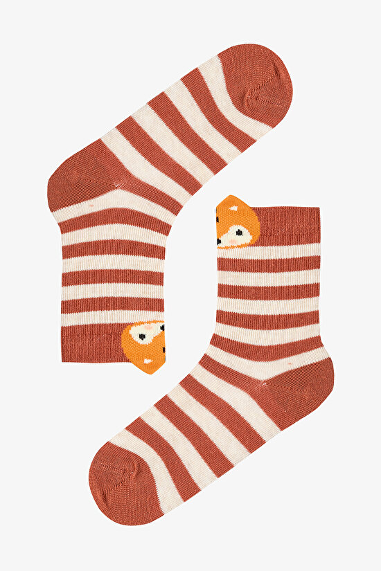 Çok Renkli Erkek Çocuk Foxy Stripe 4lü Soket Çorap - 3