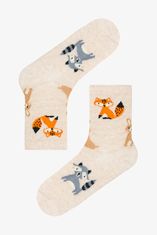 Çok Renkli Erkek Çocuk Foxy Stripe 4lü Soket Çorap - 4