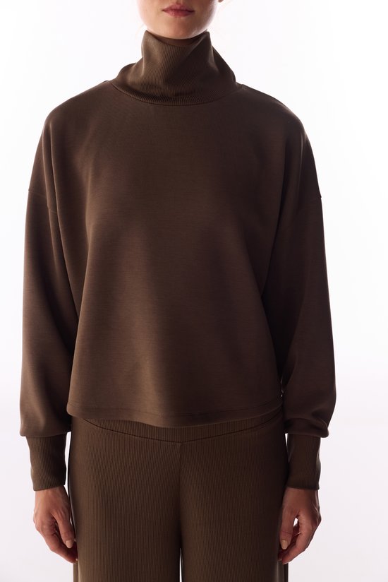 Brown Rib Modal Turtleneck Long Sleeve Crop Top - 3