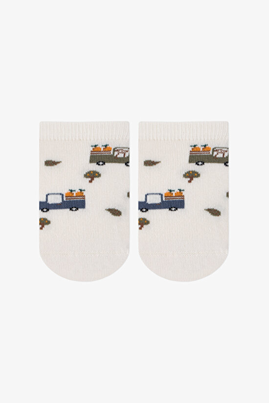 Renkli Erkek Çocuk Fruit Dino 4 'lü Patik Çorap - 2