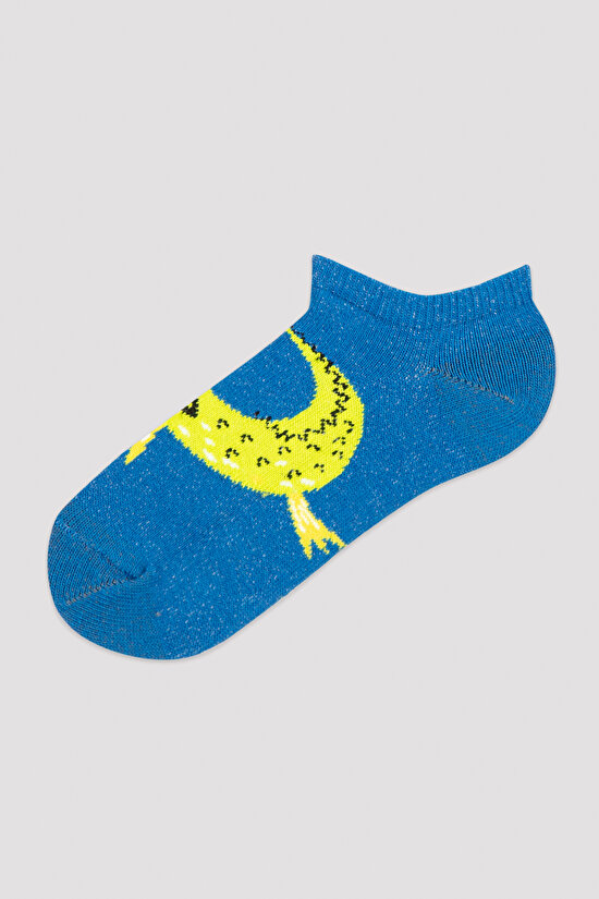 Çok Renkli Erkek Çocuk Safari 3lü Patik Çorap - 2