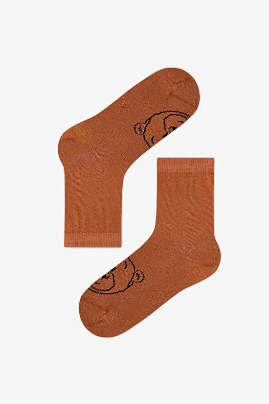 Erkek Çocuk Kahverengi Brownie Bears Ayı Desenli Pamuklu 4 Çift Soket Çorap - 2