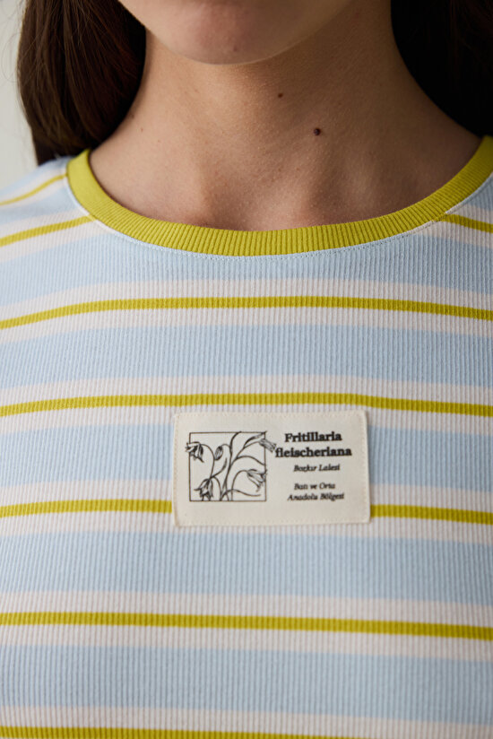 Light Blue Steppe Tulip Crew Neck Striped Crop T-Shirt - Inspired by Flora - 6