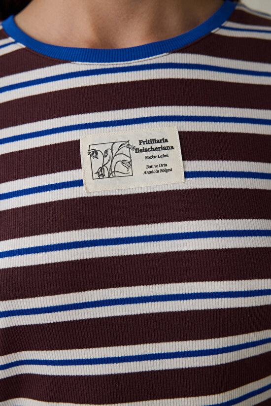 Brown Steppe Tulip Crew Neck Striped Crop T-Shirt - Inspired by Flora - 7