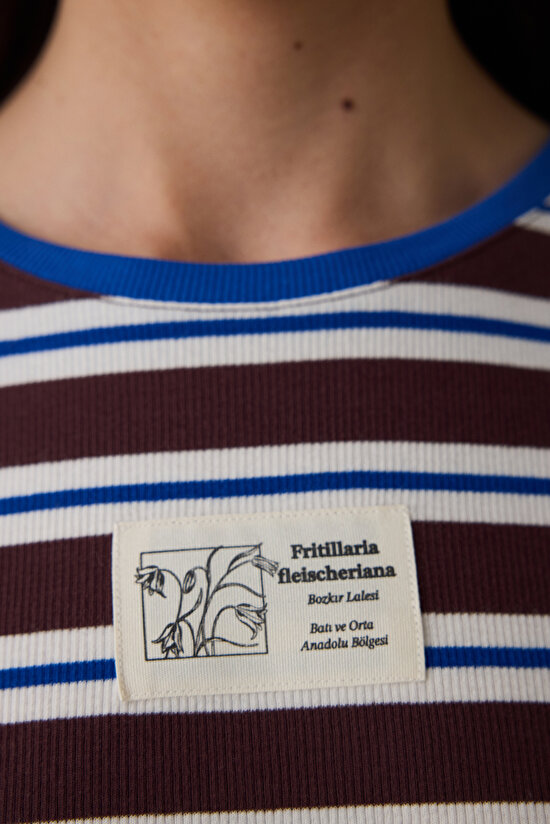 Brown Steppe Tulip Crew Neck Striped Crop T-Shirt - Inspired by Flora - 8